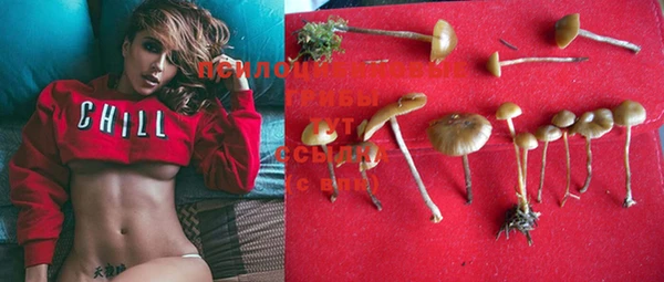 мет Лабытнанги